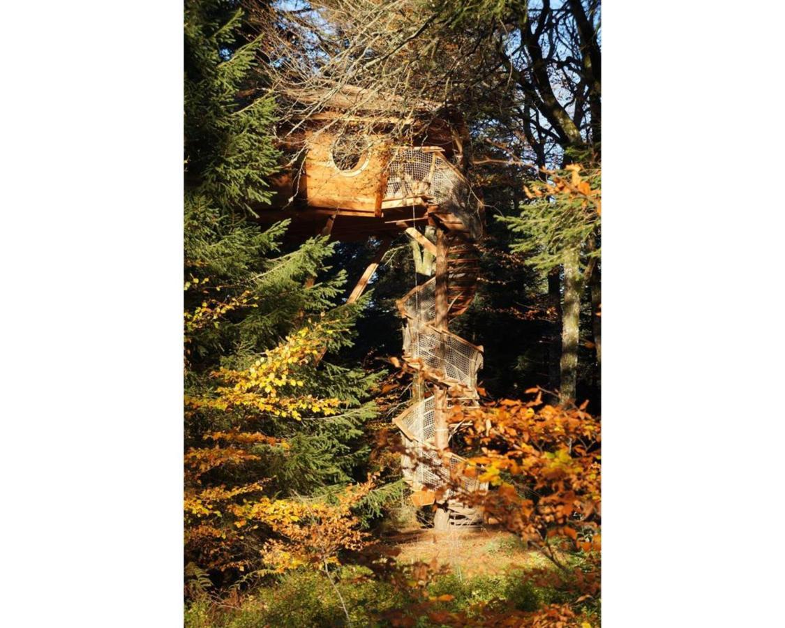 Cabanes Des Volcans La Tour-dʼAuvergne Esterno foto